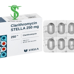 THUỐC KHÁNG SINH CLARYTHROMYCIN 250 STELLA H/20 V